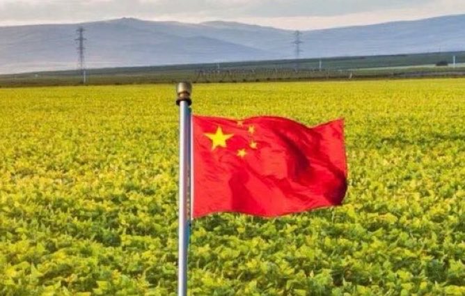 ForgiatoBlow47's tweet photo. JD Vance wants to reclaim every single blade of American soil China bought up. 

Do you back him? https://t.co/W4QxuY7m1U