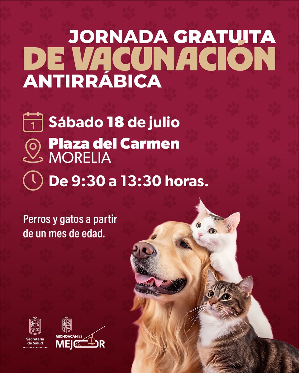 Gobierno de Michoacán tweet media