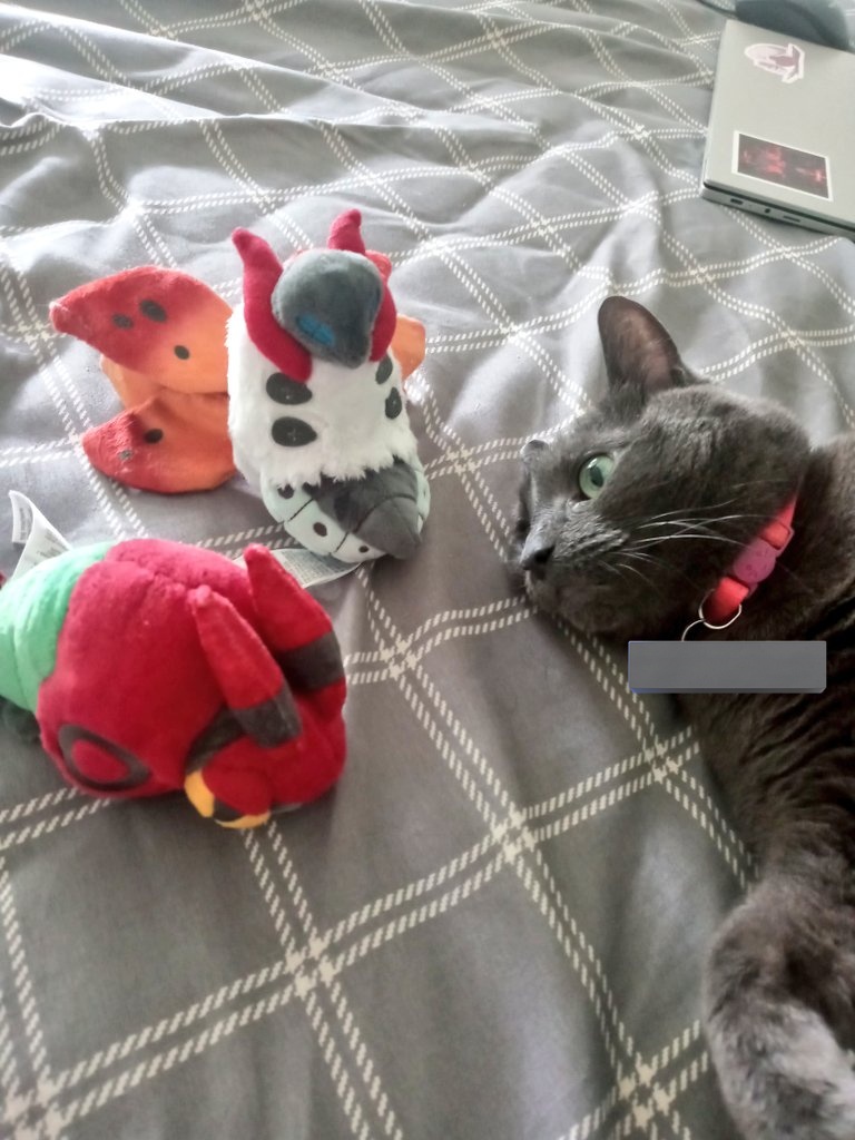 Spoodswithpuffs's tweet photo. I tried to introduce my kids to eachother https://t.co/BPfnjHHpgb