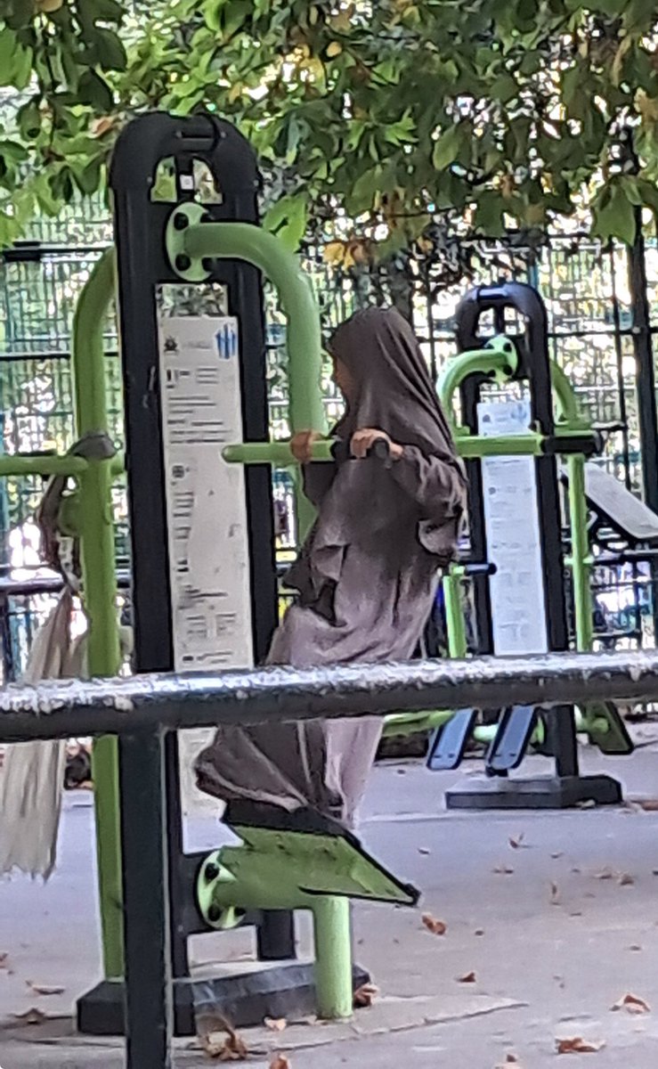 AlexieDelalande's tweet photo. Téhéran ?
Non, 17e Paris dans un parc public en juillet 2026
Comment peux t on accepter pareille monstruosité au pays des lumières qu’une petite fille de 7 ans soit vêtue par cet accoutrement maléfique.
Voilà la France que vous propose Mélenchon
Le législateur doit agir et vite. https://t.co/6qPuKuQyhw