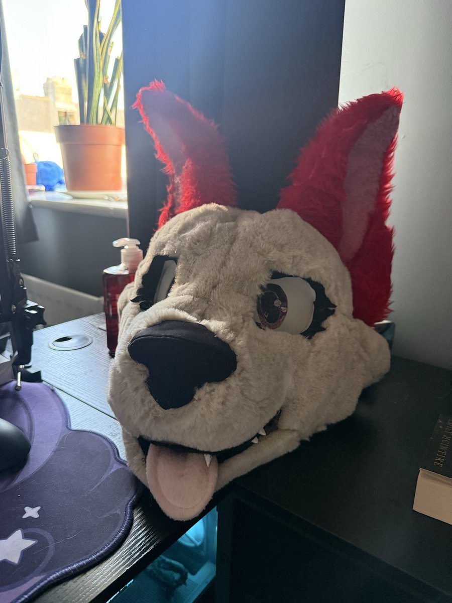 RoxRides05's tweet photo. Looking to sell my first partial Rox, she’s kind of unfinished but comes with some art and character rights. £300ish
Detachable eyelids, foam base, pickable nose, 3D printed teeth, removable tongue. Feel free to message for more pictures or for any pics of the art! Thanks :) https://t.co/bDqvJrSlxG
