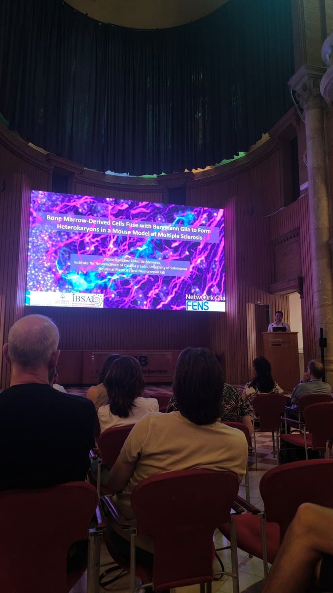 Incyl_Usal's tweet photo. 🧠 On July 10, Pablo González and David Díaz from INCYL's Neuronal Plasticity &amp; Neurorepair Lab presented their research at #FENS2026. Their work explored bone marrow cell fusion with cerebellar cells in multiple sclerosis, revealing mechanisms for future cell-based therapies🔬🌍 https://t.co/Akm9ZrXNnK