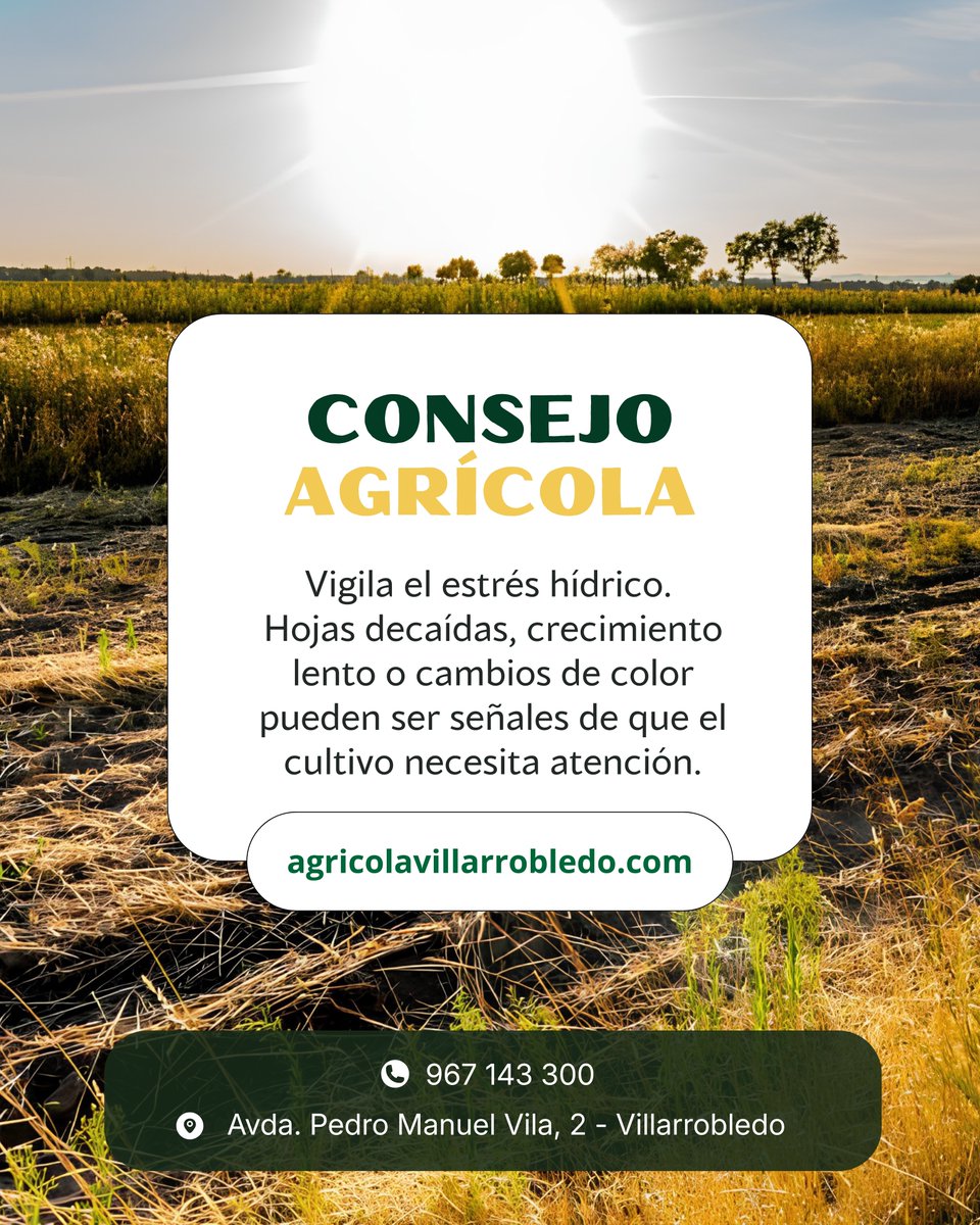 agricolavdo's tweet photo. Cuando el calor aprieta, el cultivo habla. ☀️🌱

📍 Av. Pedro Manuel Vila, 2, 02600 Villarrobledo, Albacete
📞 Llámanos: 967 14 33 00
#ConsejoAgrícola #EstrésHídrico #Agricultura #Cultivos #CampoEspañol https://t.co/N4bWJbePfI