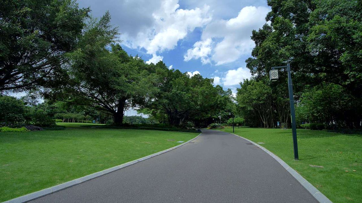 drownieman's tweet photo. Your daily 30-min walk boosts metabolism, improves mood, and strengthens immunity—small step, big health win! https://t.co/Ve17nGauHx