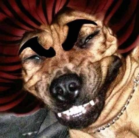 TeurYax_MGATR's tweet photo. @UrielLo92547821 Cómo se sintió el Príncipe después de decirlo👌😮😮😮😮😮😮😮😮😮😮😮 https://t.co/zT71aGEMA6