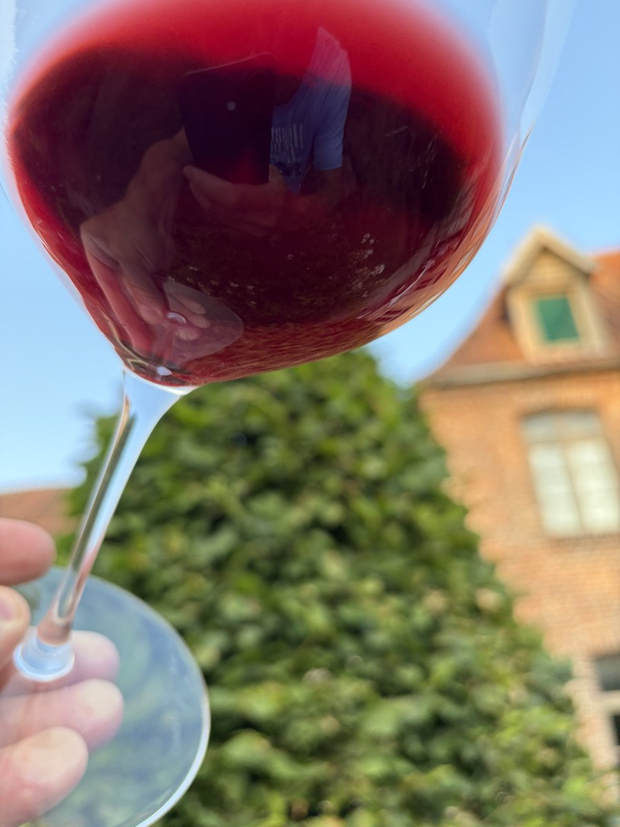 E2Villiers's tweet photo. J’aime le Côtes de Bourg, un simple Bordeaux rouge, rapidement délicieux à boire,  qui a le « goût bordeaux » sans la surpuissance des grands crus désormais « parkerisés » sur-extraits. Esprit médoc goût d’antan. Ce magnum
de Bousquet est parfait, exquis. https://t.co/TyWM9A0G1D