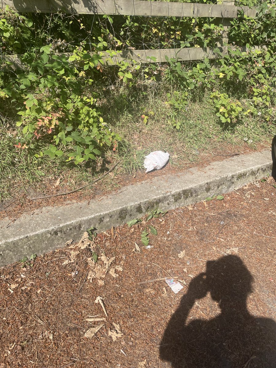 FrankFahey13's tweet photo. A walk, up around the Hellfire yesterday, strange fruit on the trees, plastic bags full of dog shite, and then a babies dirty nappy just thrown in the car park. Bring it home or bin it properly. If that’s your behaviour stay at home. https://t.co/EE81FWmonb