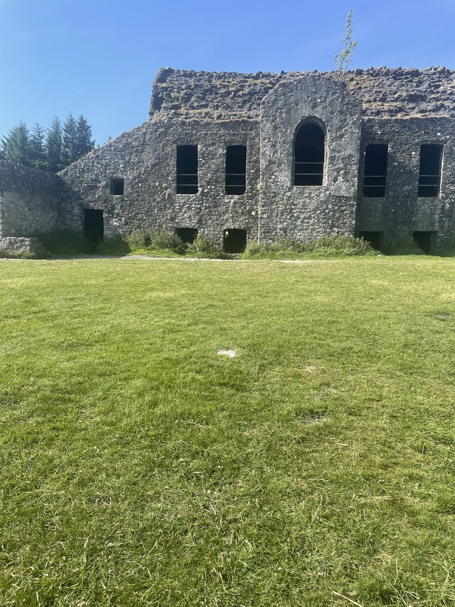 FrankFahey13's tweet photo. A walk, up around the Hellfire yesterday, strange fruit on the trees, plastic bags full of dog shite, and then a babies dirty nappy just thrown in the car park. Bring it home or bin it properly. If that’s your behaviour stay at home. https://t.co/EE81FWmonb