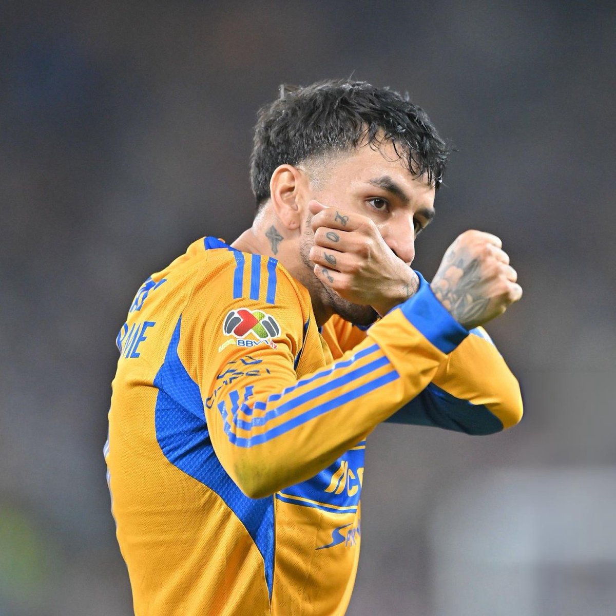 tigresfootball_'s tweet photo. Fuera de mame, no dudo que la esposa de Ángel Correa haya publicado ese comunicado también para meter presión y que se concrete la negociación. Pero eso no justifica las acusaciones que está haciendo; son muy delicadas.

Esperemos que esta novela se resuelva lo antes posible y que River Plate pague lo que está pidiendo Tigres.

PAGUEN MISERABLES @RiverPlate 💰