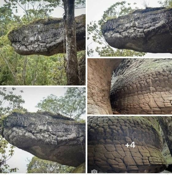 HerodotusWave's tweet photo. The unique sandstone formations within Naka Cave (or Naga Cave) located in Phu Langka National Park in Thailand. https://t.co/Ocwzvbdhtf