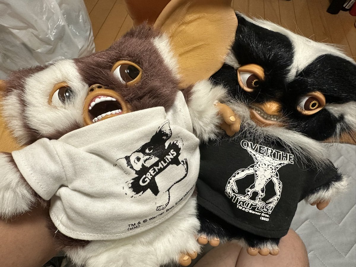 ギズモ (@mog_giz) / Posts / X