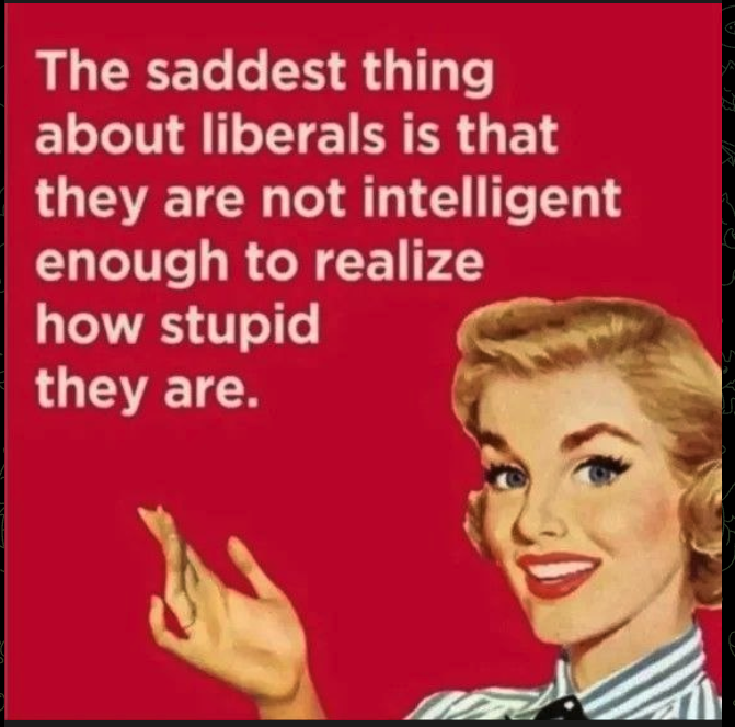 LSamuelson76543's tweet photo. @AntiLeftMemes https://t.co/iPQZVRIofX