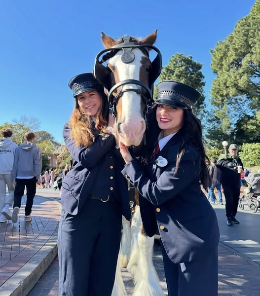 PamRecruit's tweet photo. July 17, 1955 opening day #Disneyland
Do you ever wonder about the #horses that pull the vehicles on Disneyland’s #MainStreet
#dreamjob #Clyesdales #Percherons #Belgians #Shire Article in #HorseIllustrated
https://t.co/zNfO2JPujk #horsebooks ISBN is  9780228104858 #horselove https://t.co/vjBPoNLyFX