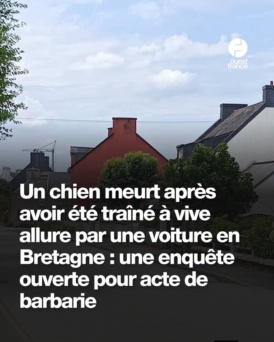 AdeaClaude's tweet photo. Et ça continue 😡😡😡😡😡😡😡😡😡

C’est une scène insoutenable, à laquelle ont assisté au moins deux habitants de la commune. Une scène que ce jeune couple n’est pas près d’oublier.
➡️ https://t.co/QeOX4kS6lw https://t.co/q32fInAyWr