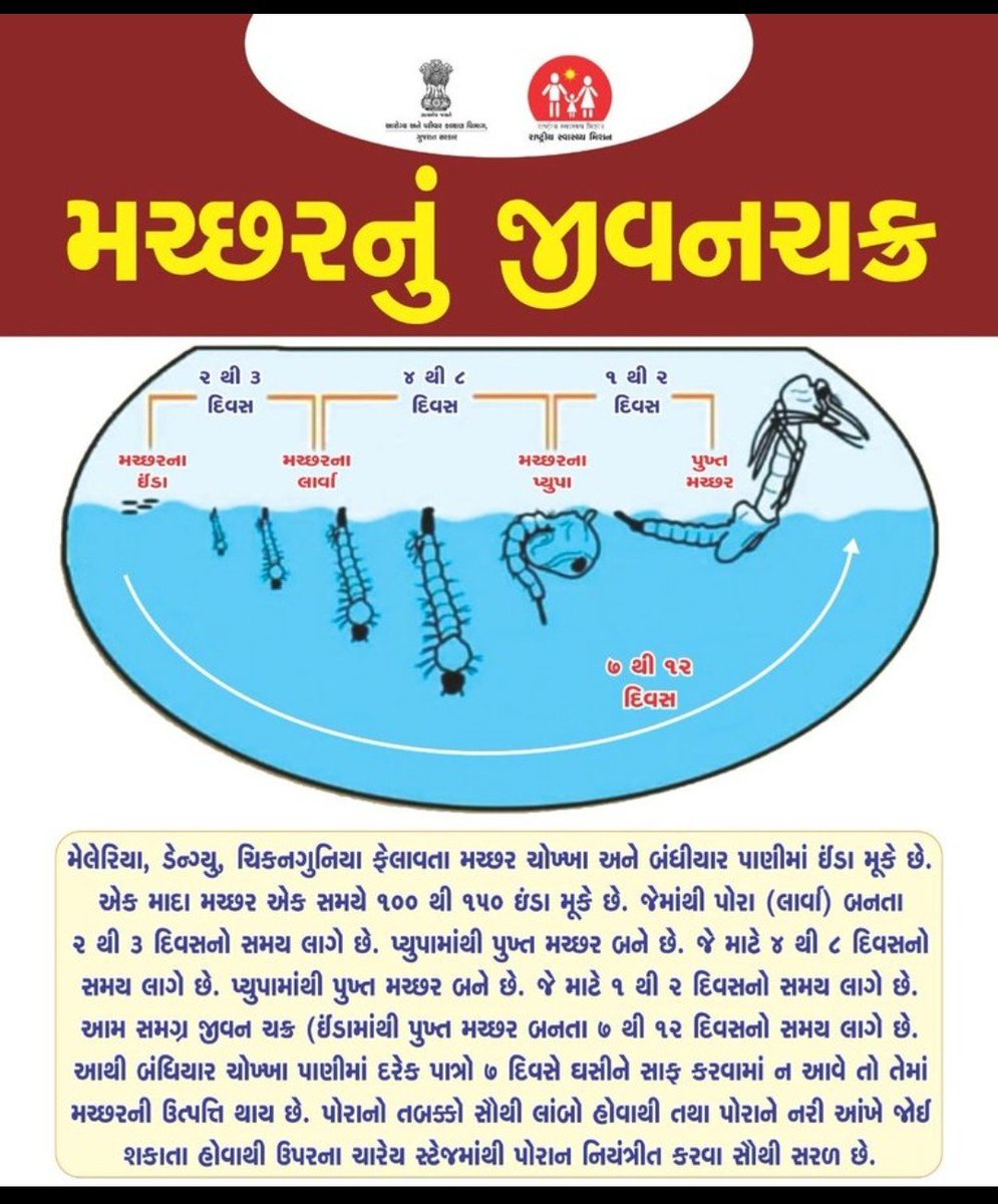 ajaykumar_barot's tweet photo. આવો સમજીએ મરછરોનું જીવનચક્ર.
@CdhoSabarkantha 
@DmoSabarkantha 
@jhpandya98 
@THOHimatnagar 
@SBCCSk 
@SBCC_Desasan https://t.co/l1gnOMkTLN