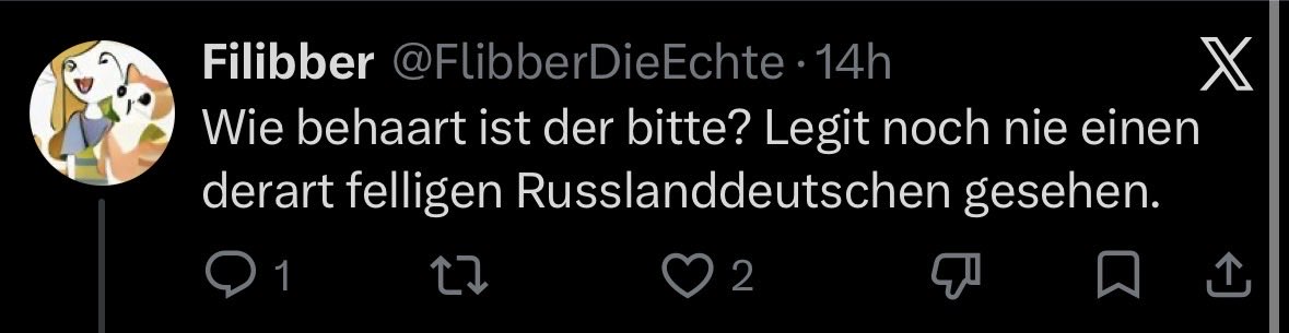 Plebius 🇩🇪👉🏻🇸🇻 tweet media