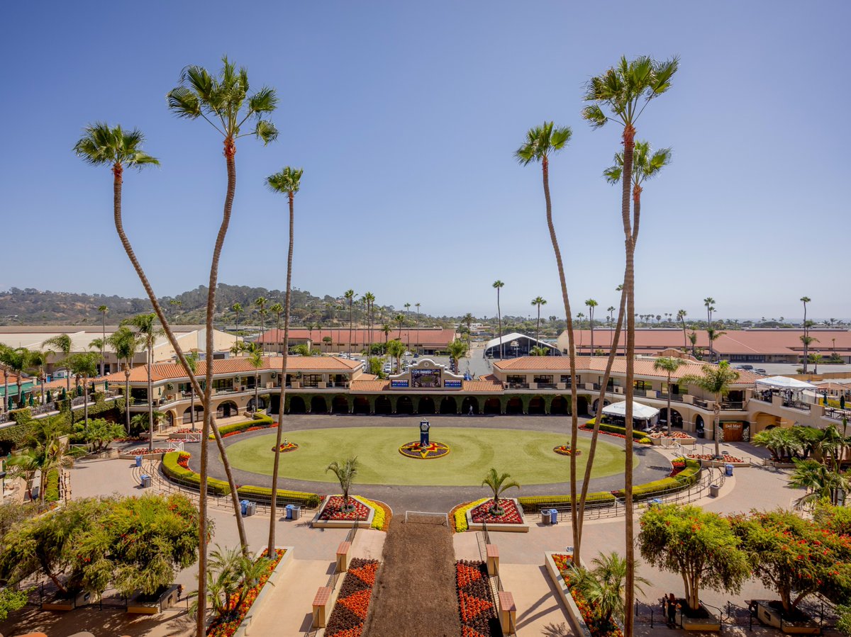 DelMarRacing's tweet photo. We dressed up nice for ya. ✨ https://t.co/ZocedwfPrf