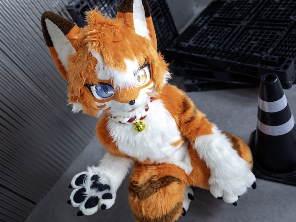 Tsuna_9H's tweet photo. 기다리고 있었어!
#FursuitEveryday #Fursuit https://t.co/tU0P1o24A7