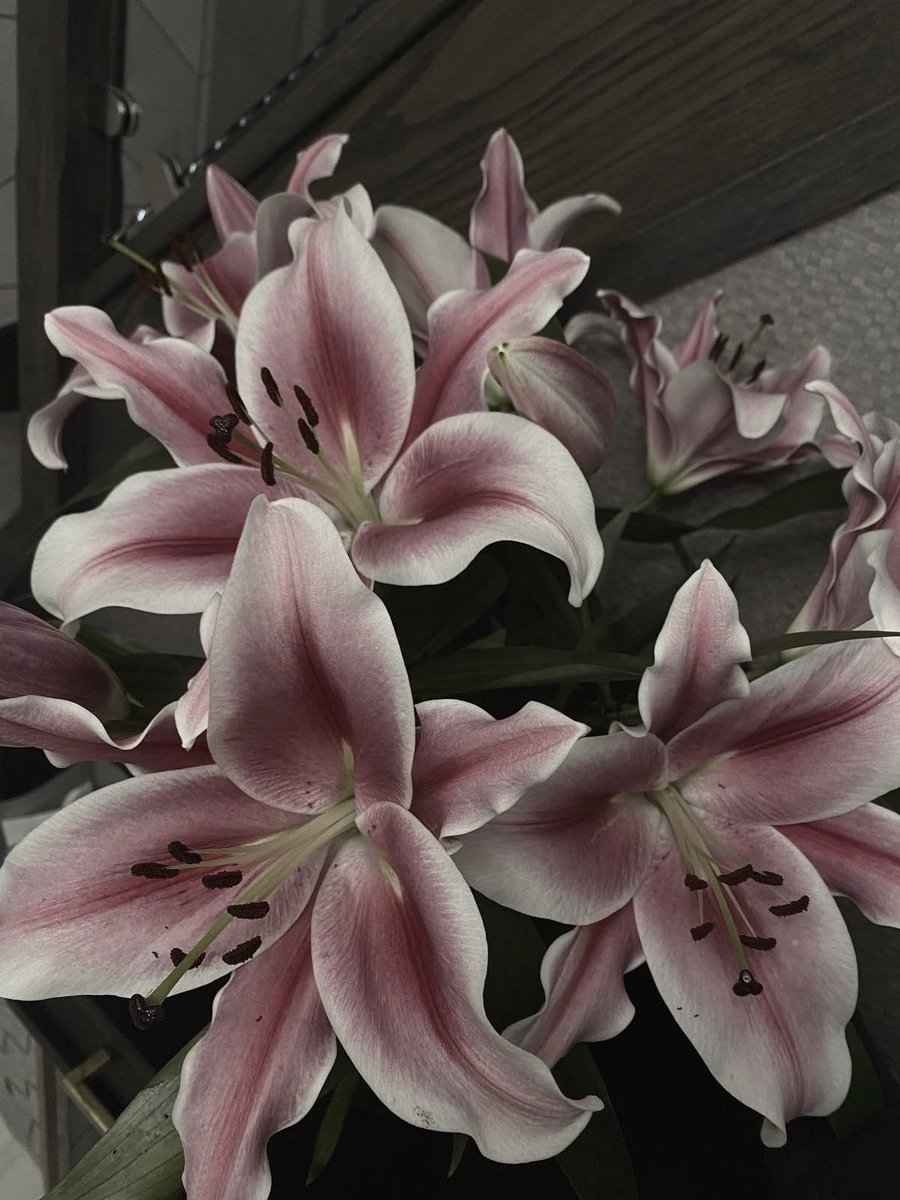 iphackexe's tweet photo. how does pinterest see me? 

makeup palette
flower
sea
dress https://t.co/htDM2Ek0T4