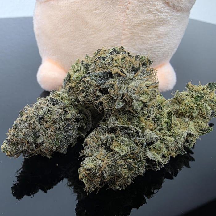 grow_diaries's tweet photo. 🍓🌿 Pure Runtzy 
by T.H.Seeds

Run by DankieDoodle — kicking off a fruity lineup with one of T.H.Seeds’ modern dessert cultivars

Known for its candy-like sweetness, tropical fruit notes, and frosty, dense flowers❄️ https://t.co/RUYKxSsSu4
