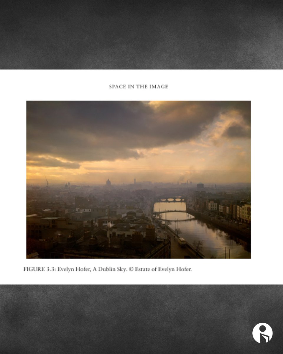 IntellectBooks tweet media