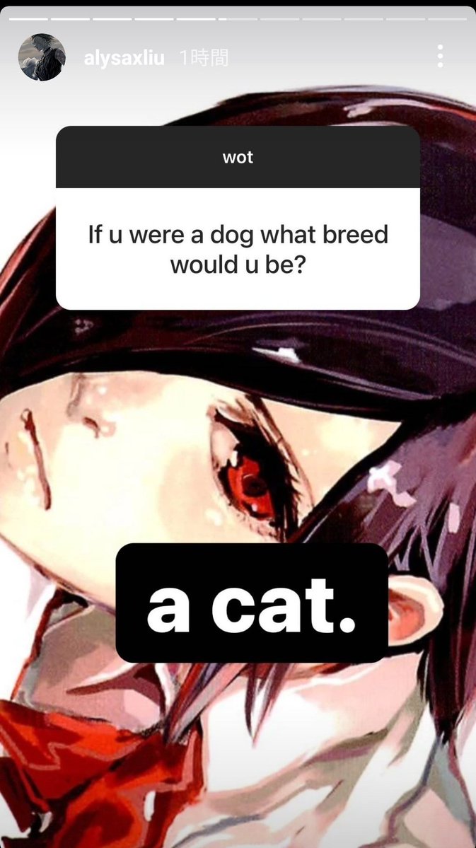 mintchococereal's tweet photo. sometimes i actually miss alysa's ig story q&amp;a but i know we are probably never experiencing that again in this lifetime. and i am glad she has set boundaries for herself. https://t.co/5R9MN2sYKJ