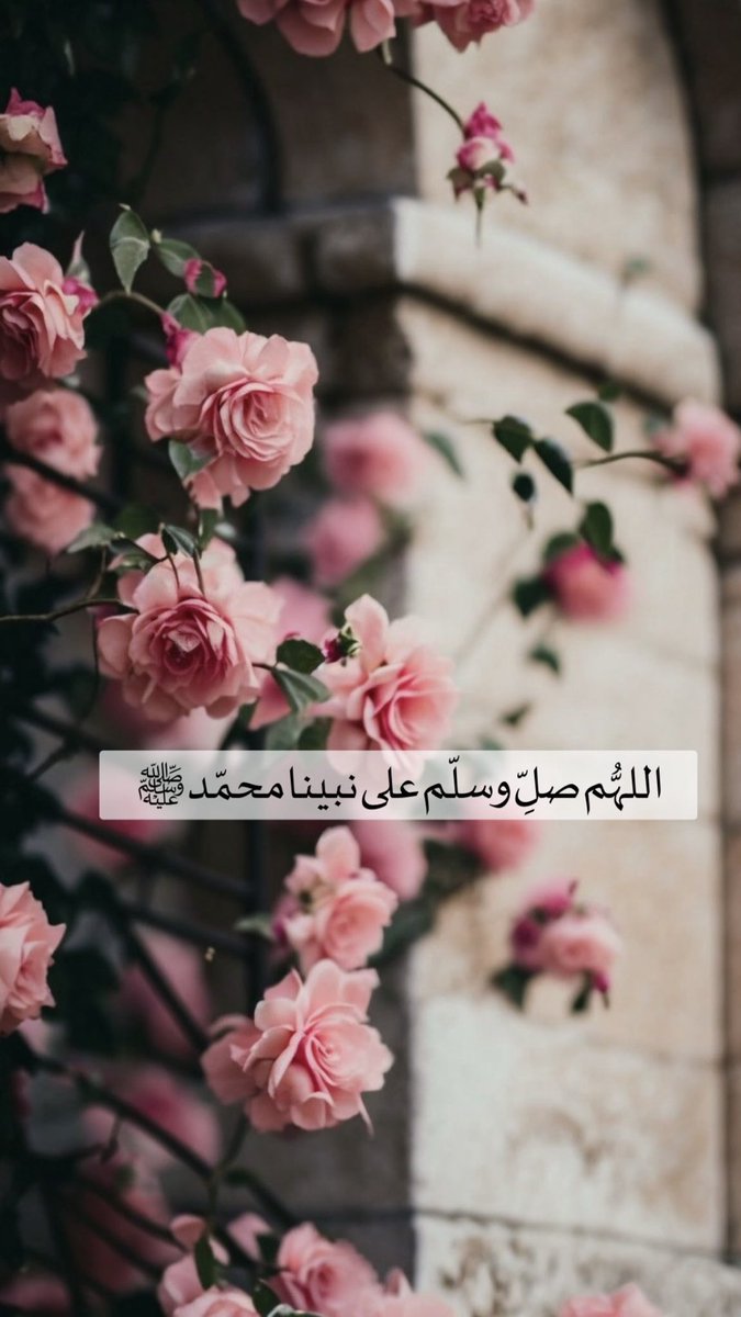 AbdullahRabiah4's tweet photo. #يوم_الجمعه

سورة الكهف ؛ نور مابين الجُمعتين ✨ 

https://t.co/B5GNKb1czv https://t.co/CpUYdj31Ik