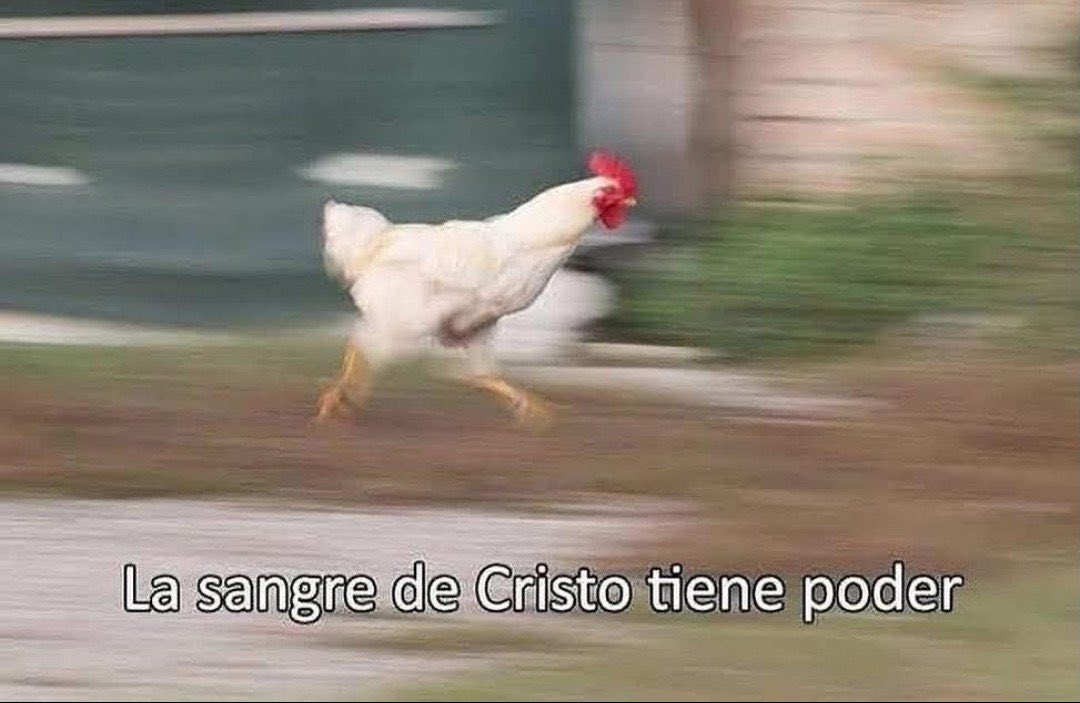 La_Pipiripau's tweet photo. Que ahuevos va usté. Pónganse tenis 

#Temblorgt https://t.co/r96N840Br3