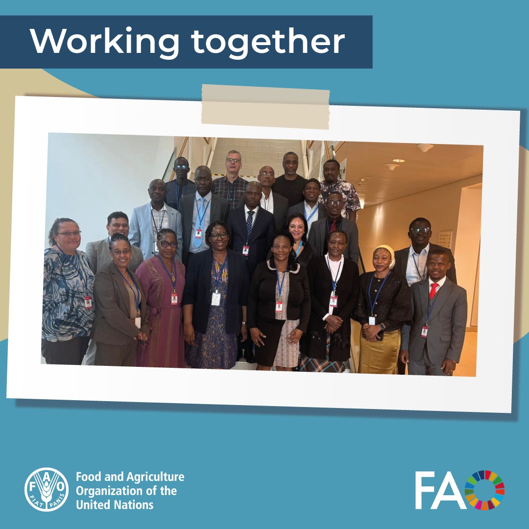 FAOLivestock's tweet photo. ๐ค Defining priorities. Building consensus. Strengthening collaboration.
Animal health experts are meeting at @IAEAorg to advance coordinated action for the eradication of #PestedesPetitsRuminants (PPR) in Africa.
https://t.co/QRf6lc0lID https://t.co/Jy5mMZD4VF