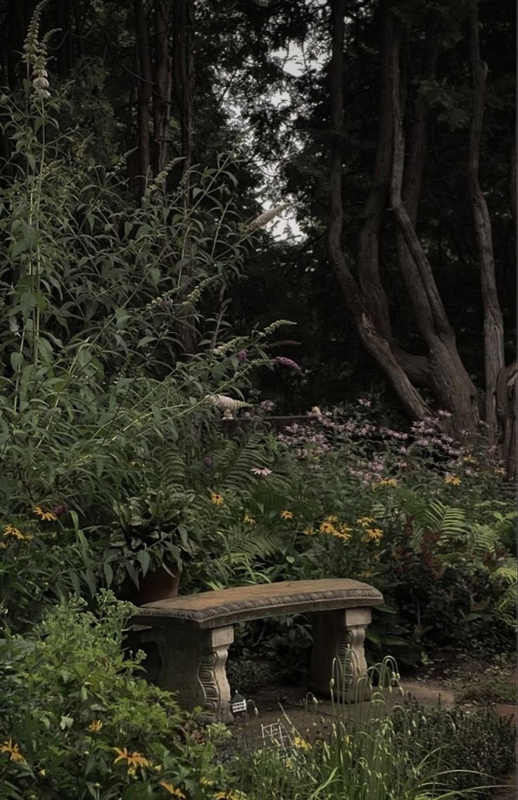 gardeniavibe's tweet photo. https://t.co/BsWAGVqjgQ