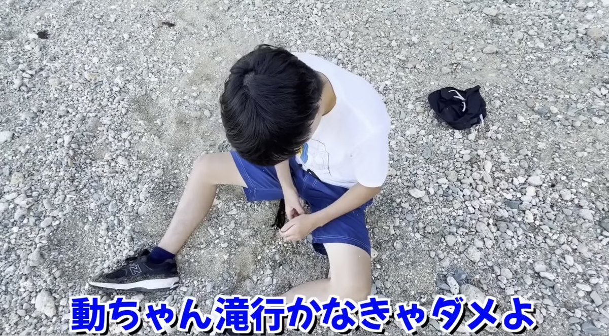 15Q10's tweet photo. これが動ありって信じられるか……？？

別にファンってわけじゃないけど、子供みたいでかわいいんよ…… https://t.co/w6BKEYP4Dm