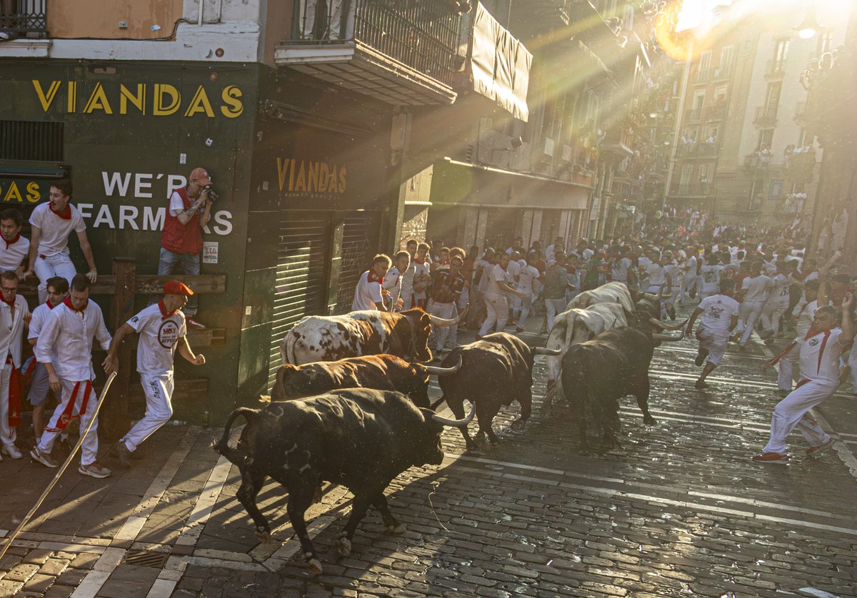 barazea509's tweet photo. SANFERMINAK 2026
ENTZIERRO - JANDILLA

@SFesPamplona @torospamplona @feriadeltoro https://t.co/2RURadsS0J