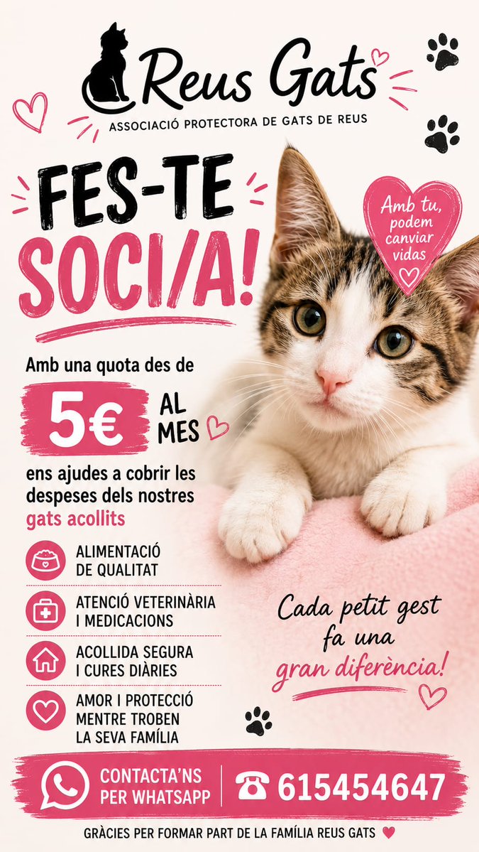 JoseMar72168618's tweet photo. https://t.co/ZnWDOUL8Nz