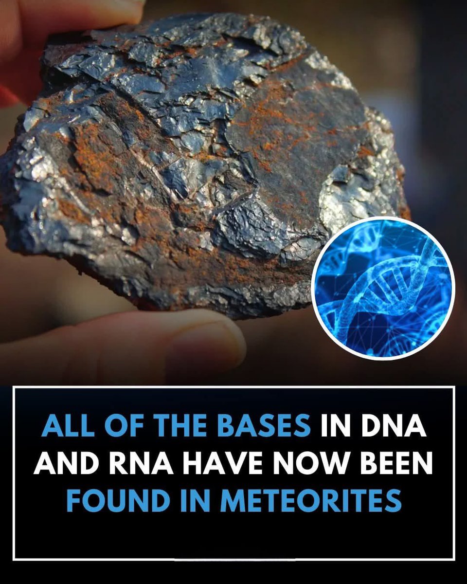 AstronomyVibes's tweet photo. Every single DNA and RNA base has now been found in meteorites—life might just come from the stars! https://t.co/nd6ELvRtOs