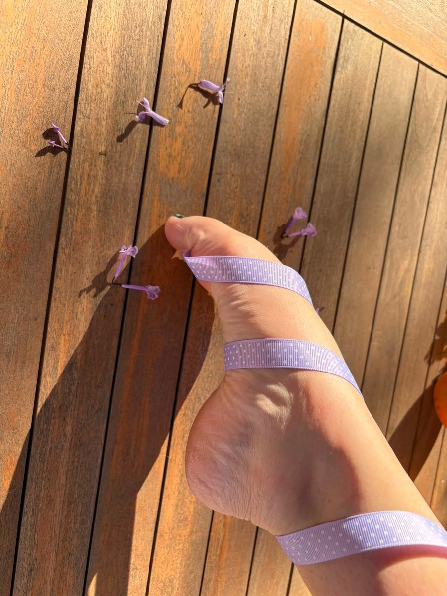 TwoGirlsandaToe's tweet photo. 🎀💜 Wrapped up like the perfect little surprise... 👣😉
Want to unwrap more? Find us on FeetFinder, Insta, Snapchat, Telegram or slide into our DMs for exclusives. 💌✨

#feet #feetfetısh #feetfinder #nsfwtwtًً https://t.co/XqU7GpI0jk
