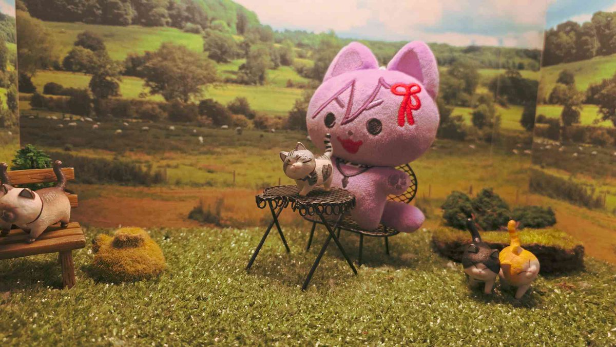 banzoinhakka's tweet photo. Just a little guy having big little adventures ฅ₍^•⩊ •マⳊ₊˚⊹♡ https://t.co/fPdHPWjX6z