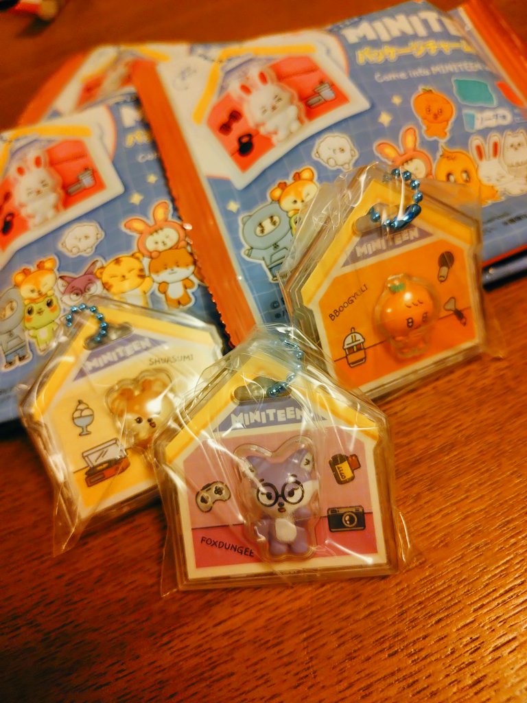 nukonosekai's tweet photo. ウォヌの誕生日に買い足したらポクちゃん来てくれた✨️ https://t.co/SN8azgOy6F