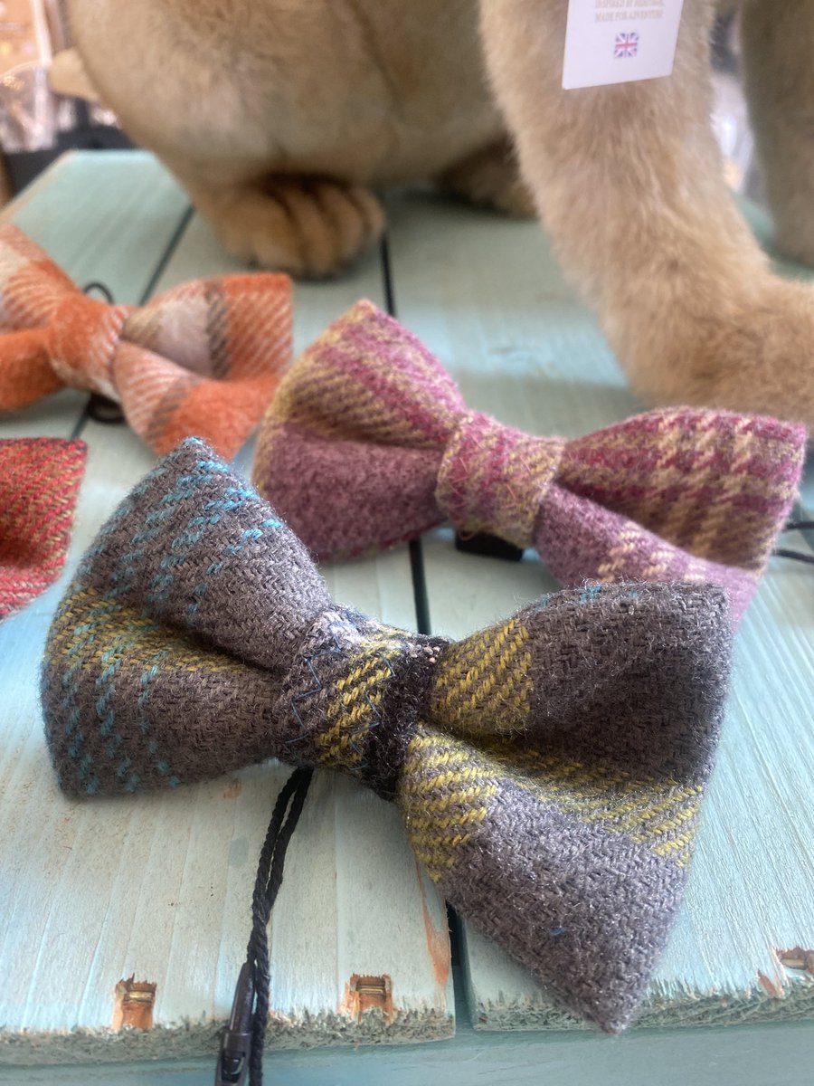 bemorebob2's tweet photo. Pals, new in store for your special occasions, or just because you are one smart pup! 

Handmade in the U.K. ❤️

https://t.co/XMNa8O7jWG tie https://t.co/SfzrZ63uRd