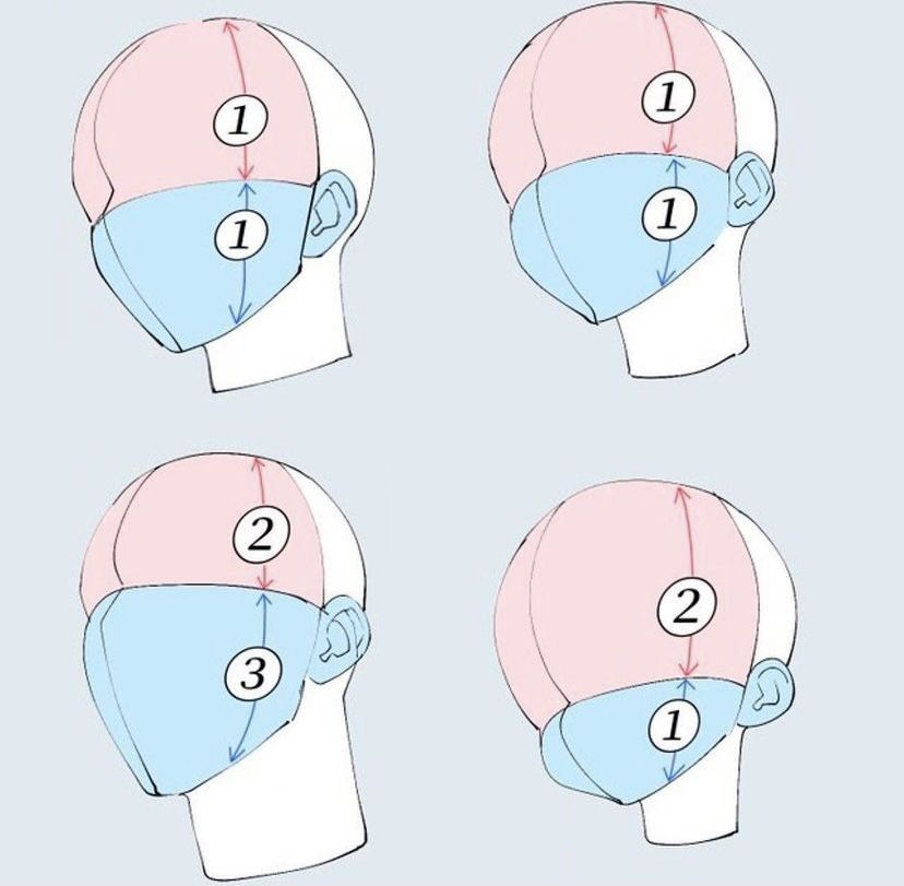 designatmo's tweet photo. Adjust the cranium-to-face ratio to create different character proportions #DrawingTips https://t.co/v75c8vcKrK