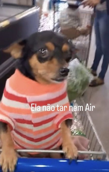 jota tweet media