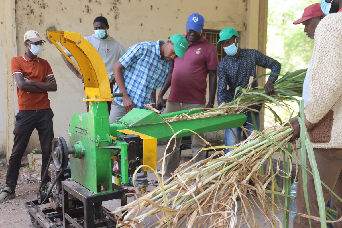 CORAFNews's tweet photo. Which technologies are making agriculture more resilient to #ClimateChange?
Through #FSRPWA & the #AICCRA project, @CORAFNews identified the most effective agricultural technologies across 7 countries in West & Central Africa.
Read more: https://t.co/3ujz9VrtJu https://t.co/3qZ3p7Du85