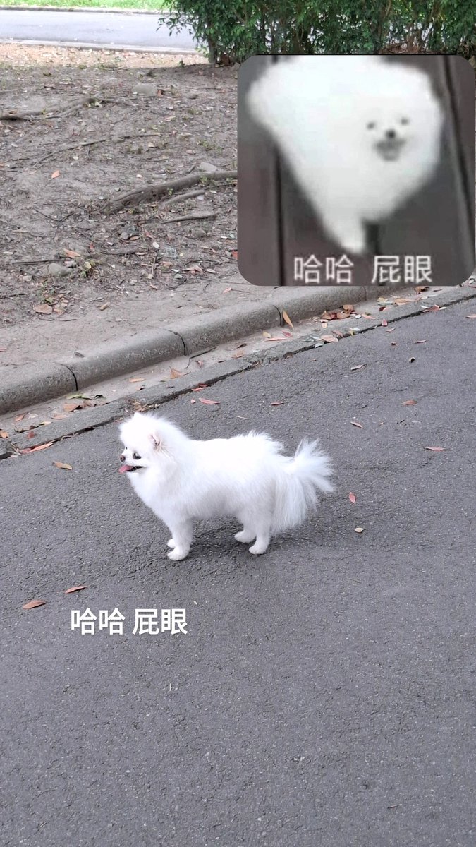 sungfIrts's tweet photo. 哈哈 屁眼
#日常生活 #跟隨可約 #幹話 https://t.co/Kjq4iLRyD0