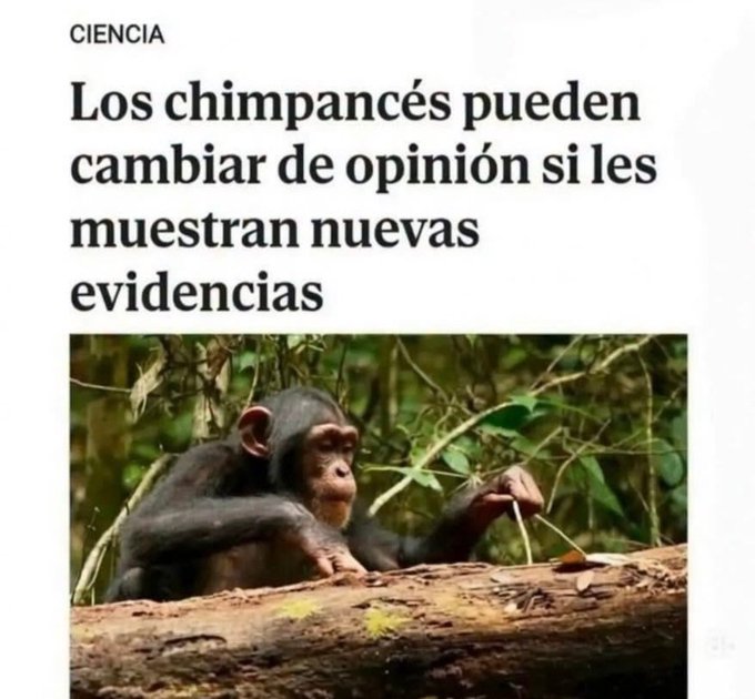 SonPolemicas's tweet photo. El informe de la CIA dice que NO hay ninguna evidencia de fraude electoral en Venezuela, por parte del Chavismo.
Los chimpancés entendieron esa nueva evidencia...Los Escuálidos siguen sin entenderla. https://t.co/v3VxyQ5PCE