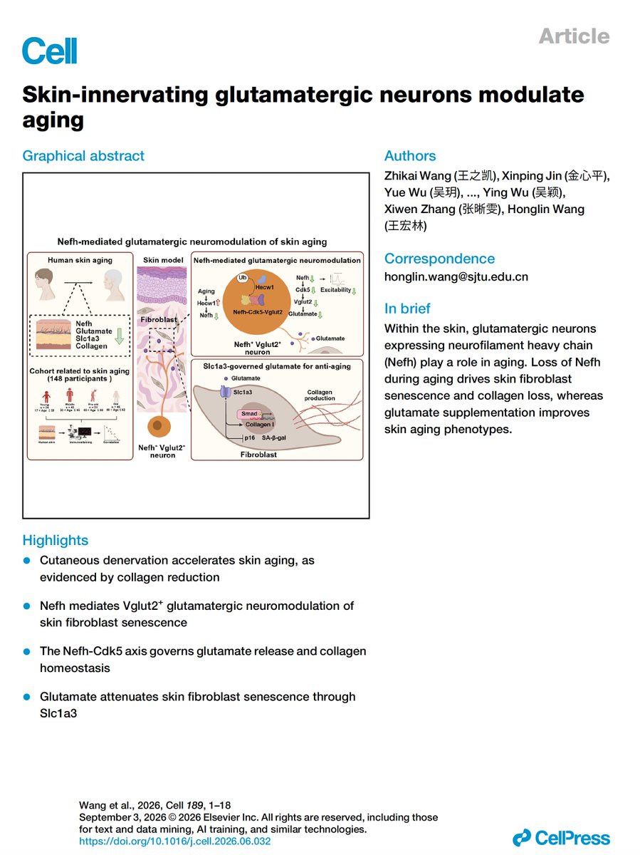 EricTopol's tweet photo. There's a lot of interest in skin aging and how to prevent it. A new mechanism and proposed therapy @CellCellPress today
https://t.co/RqAVJJu1Ub https://t.co/IqZtMDxCR0