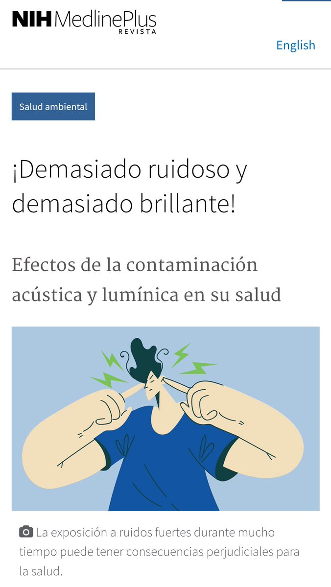 Futuro Ebanista tweet media