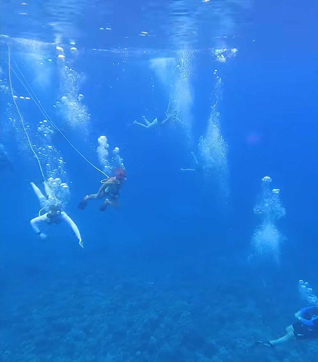 _SNUBA's tweet photo. Happy #AlohaFriday🌺
If you're headed to Maui, there's no better way to experience the island's incredible marine life than with Pride of Maui (@prideofmaui Pride of Maui).
Their experienced crew and unforgettable SNUBA® excursions make it easy for first-time and seasoned ocean lovers alike to explore vibrant reefs. No scuba certification required.
Ready to see why Pride of Maui is one of our featured operators? Read our full Operator Spotlight and start planning your next adventure:
📍👉https://t.co/y3y5koNiTu
#SNUBA #PrideOfMaui #Maui #AlohaFriday #ExploreMore #UnderwaterAdventure #Hawaii #OceanAdventure #VisitMaui #NoCertificationNeeded #snubalife🤙🏼✌️🐢🐟🐠🌴
