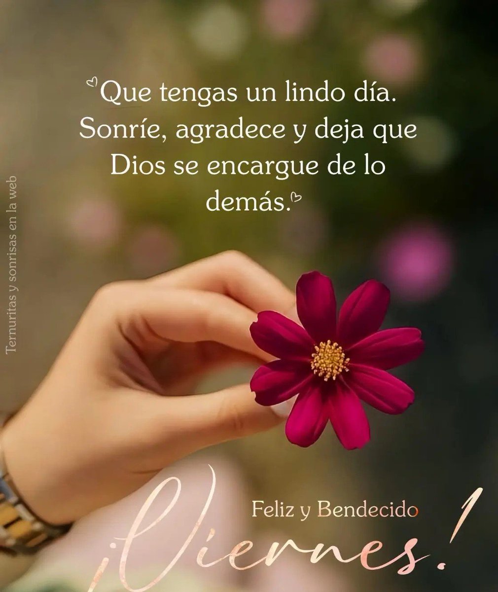 panther2880's tweet photo. .
Que tengas un viernes lleno de momentos que valgan la pena. 🌿☕✨ https://t.co/mU5e0QZfUu