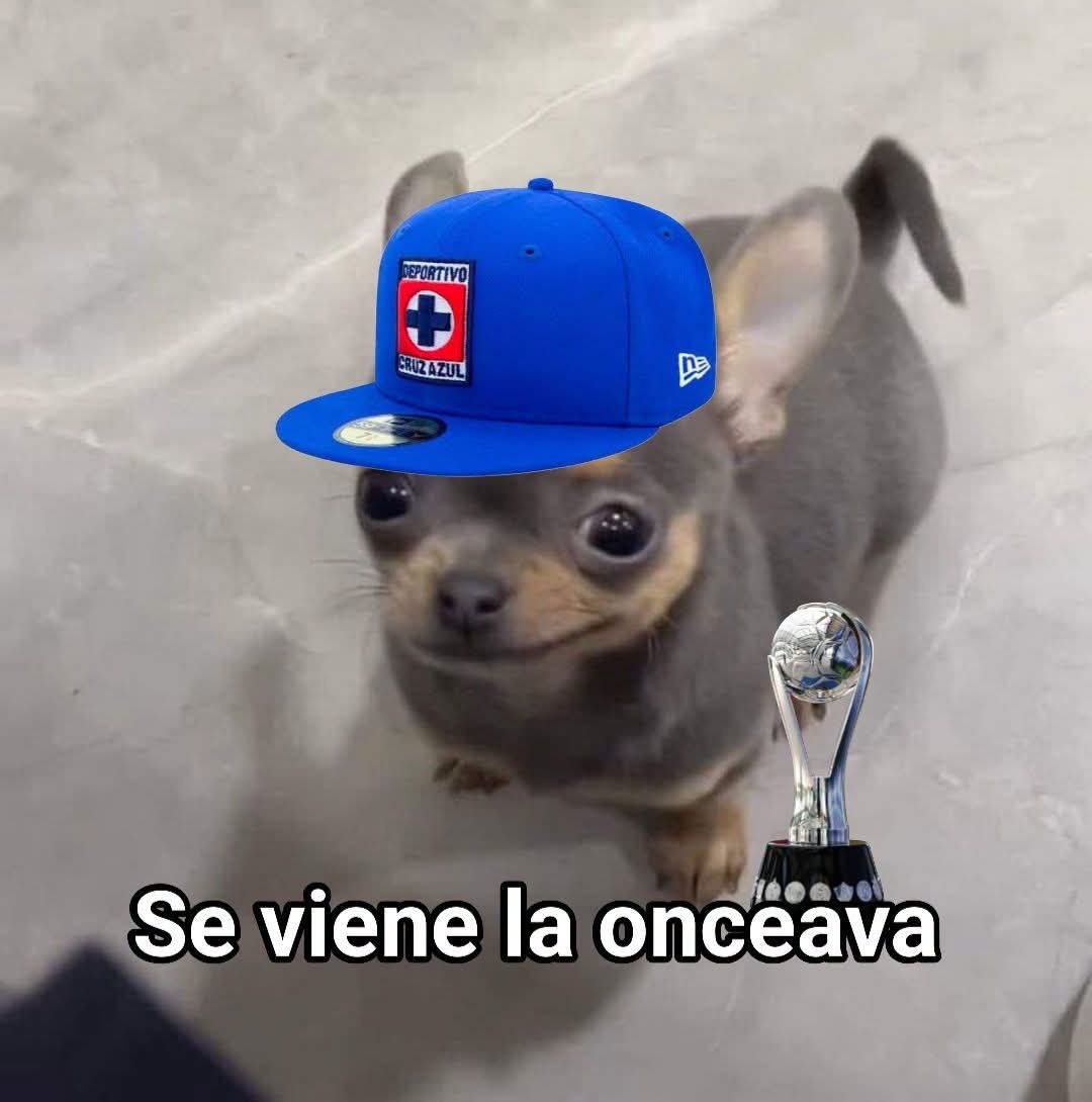 GOJR92's tweet photo. Hoy regresa el Campeón 💪🏽💙🏆 https://t.co/C9ipIcailQ