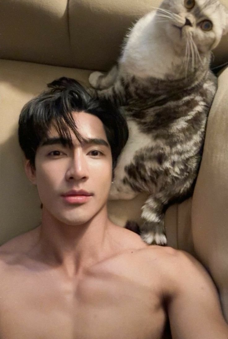 yapnilsc's tweet photo. i love men who loves cats 🐱 https://t.co/msw3hpIoNU