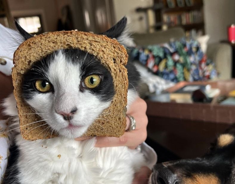 HD_TSL's tweet photo. @0xn4te let's get this bread https://t.co/601woCITGn
